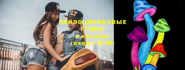 крисы Белоозёрский