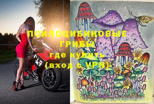 крисы Белоозёрский