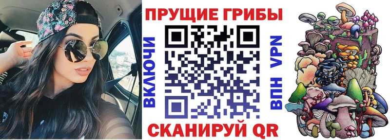 OMG маркетплейс  купить  сайты  Верхотурье  Псилоцибиновые грибы Psilocybe 